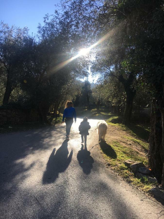 Le Falesie Arco Εξωτερικό φωτογραφία