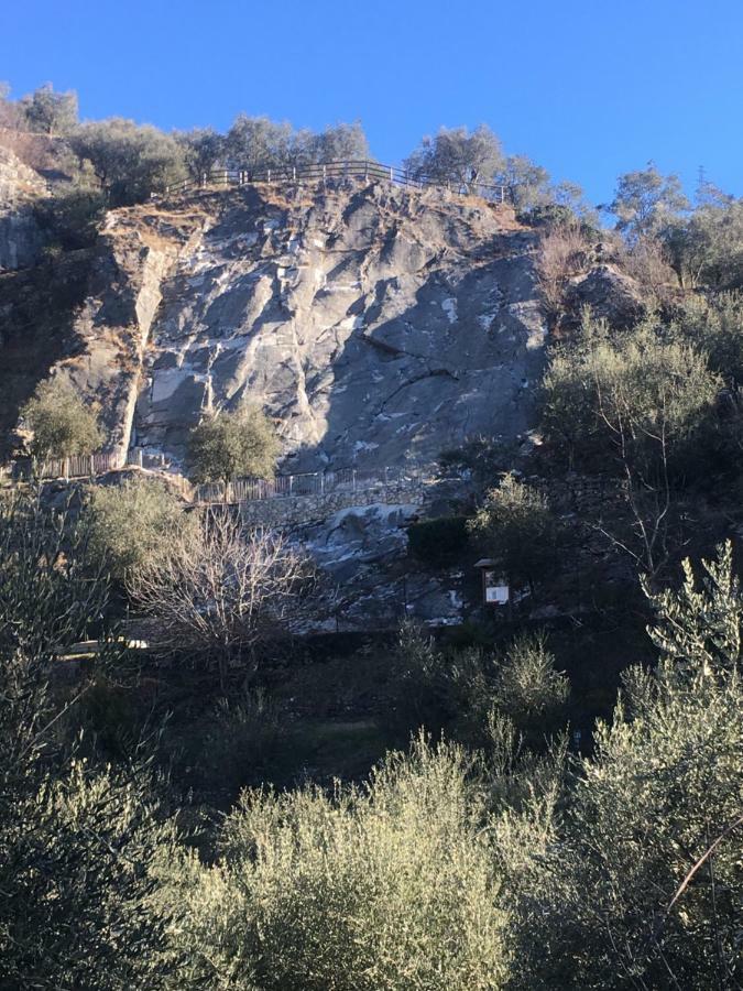 Le Falesie Arco Εξωτερικό φωτογραφία